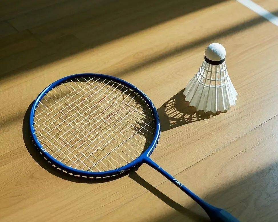 场主导力 场主导力