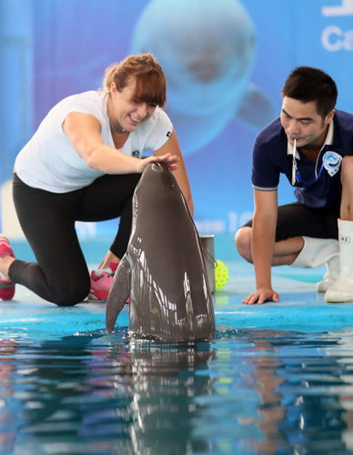 射出职业球 射出职业球