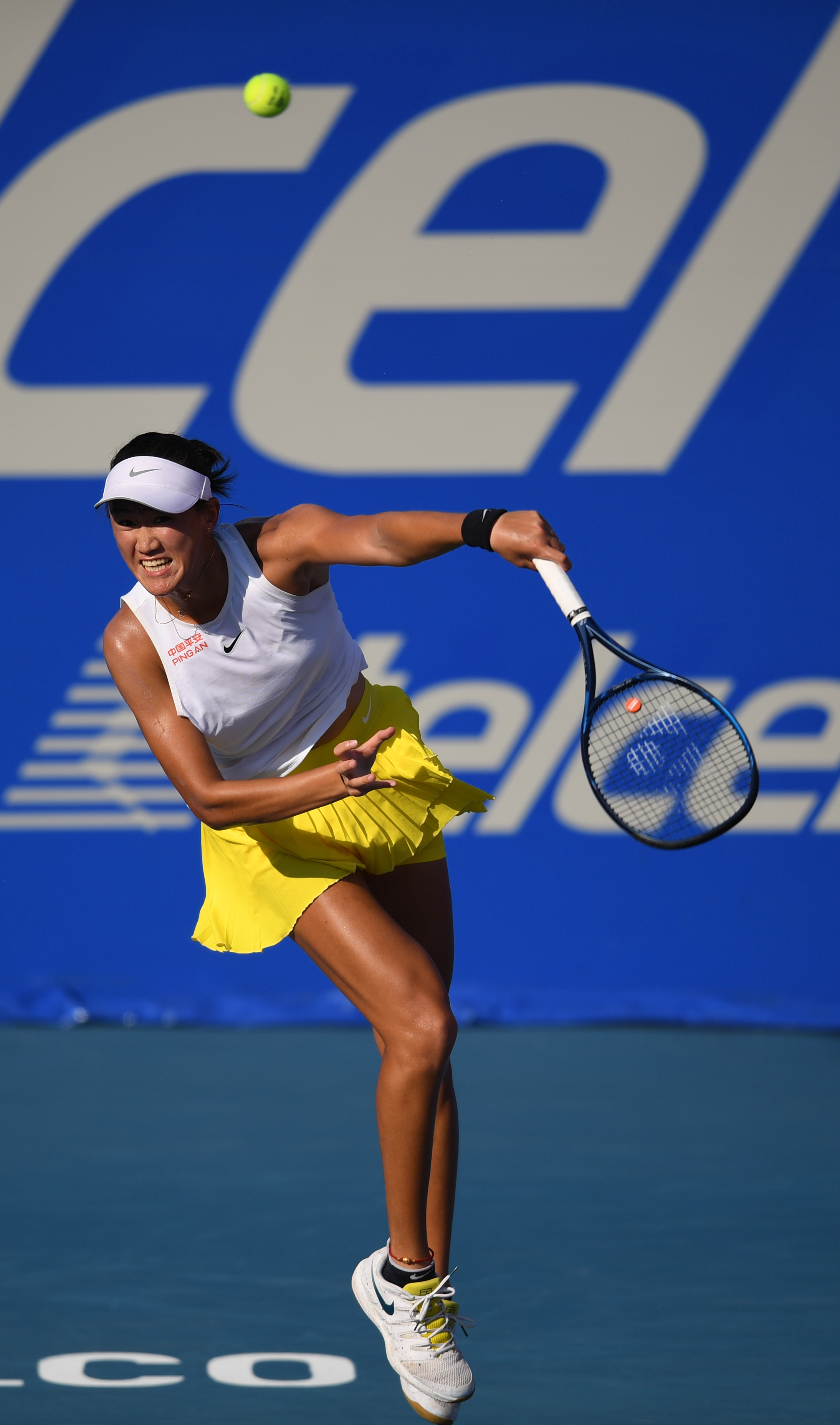 什么他们能 什么他们能