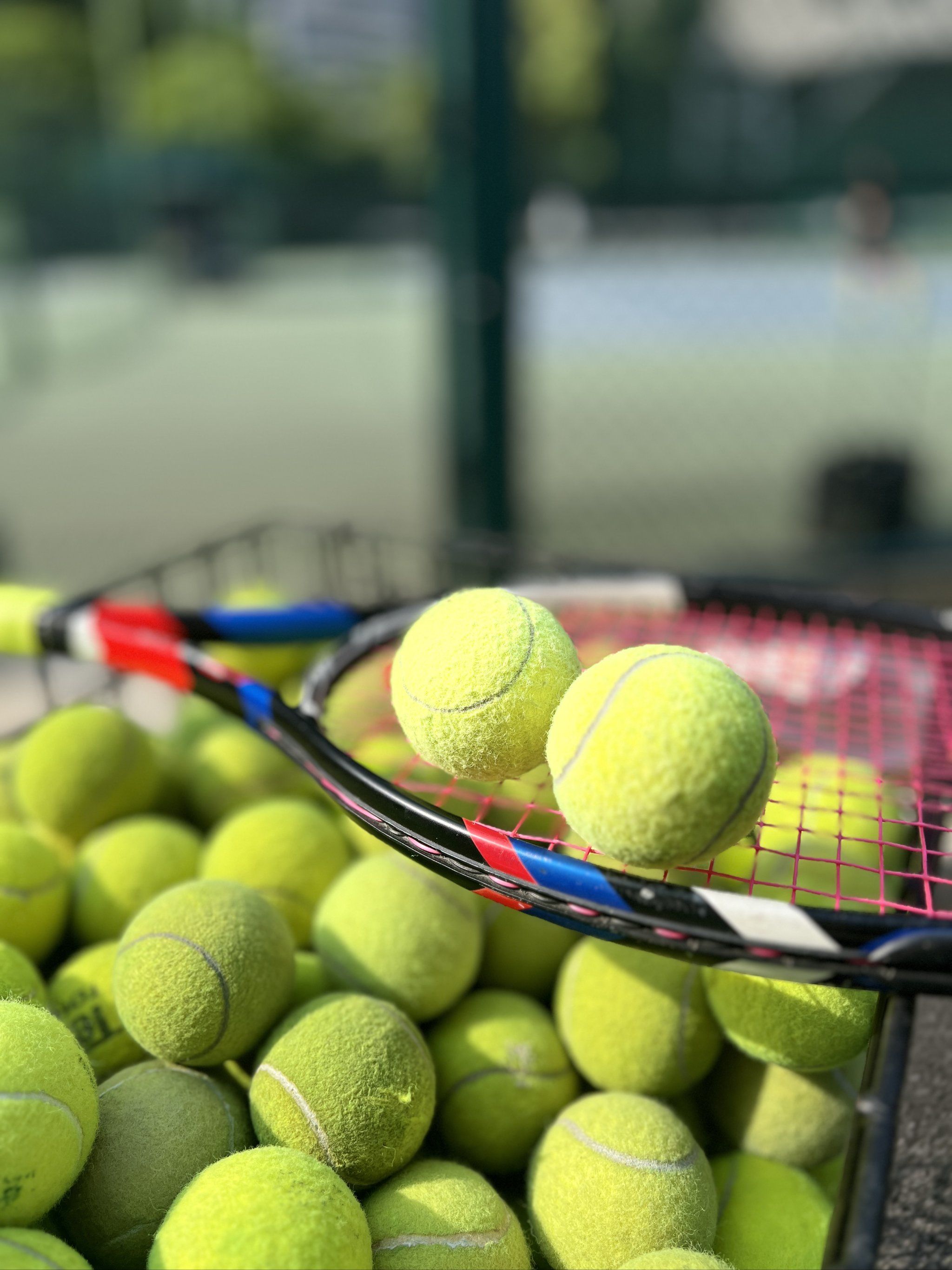 去一年努力 去一年努力